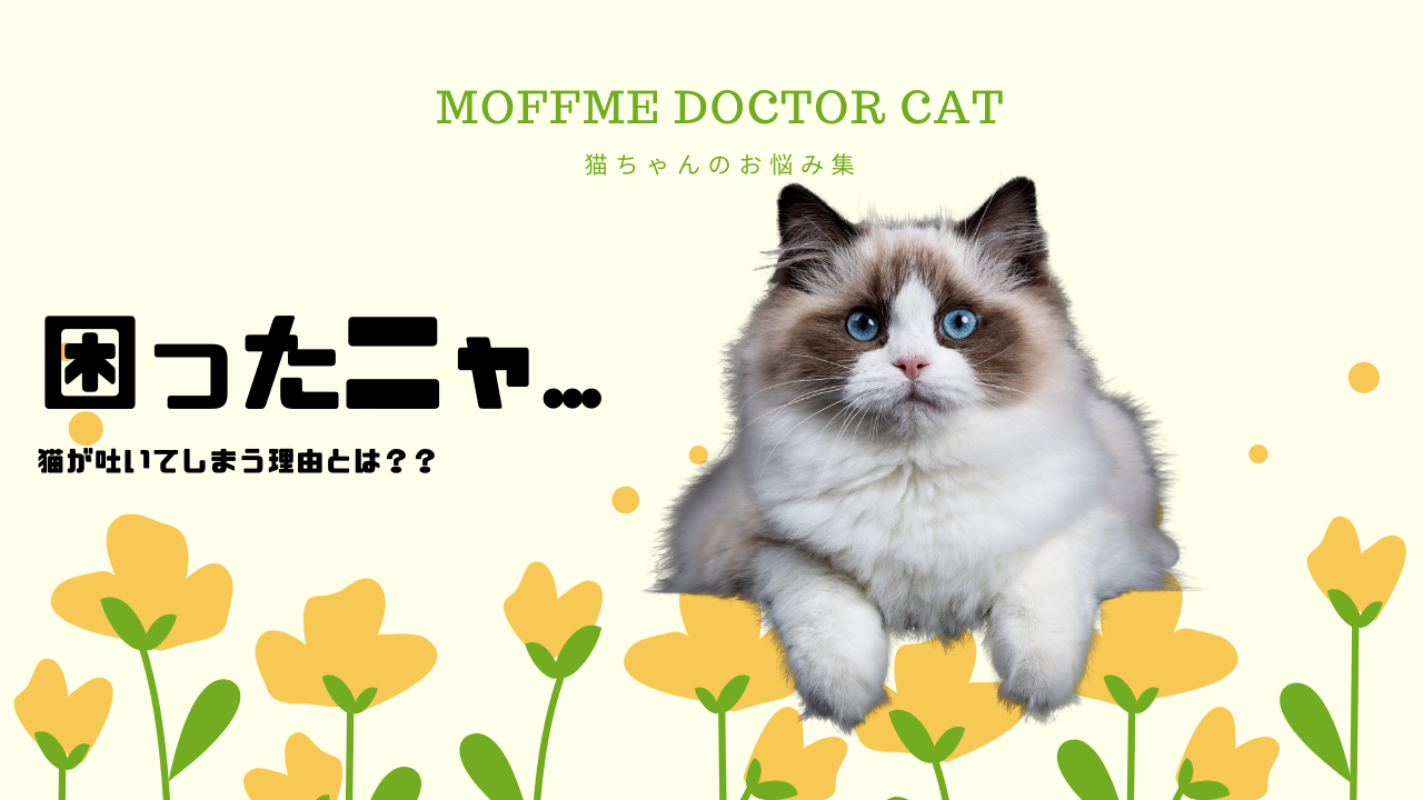 【MOFFME DOCTOR CAT】吐いた痕跡がある... 原因とは？のサムネイル画像